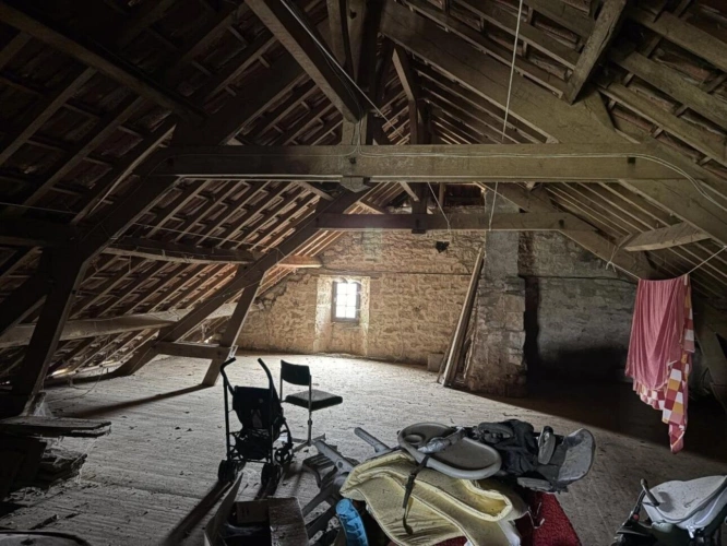 Photos 4 - Équestre - Domaine rural avec deux habitations, dépendances et terres