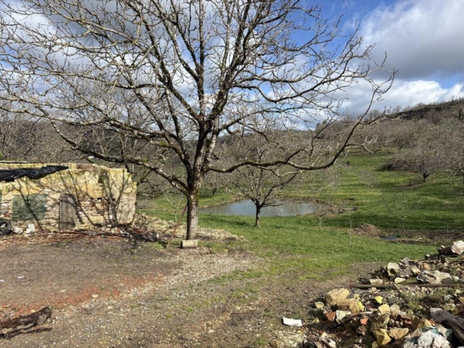 Photos 16 - Équestre - Domaine rural avec deux habitations, dépendances et terres