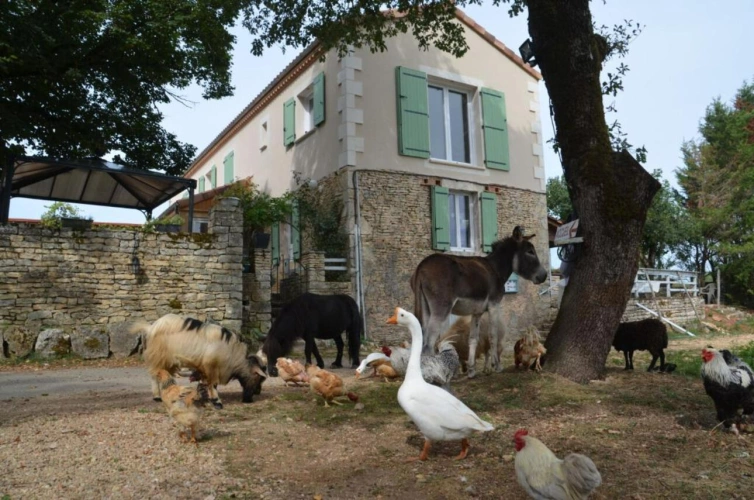 Photos 4 - Équestre - Domaine de charme avec hébergements touristiques et activité professionnelle