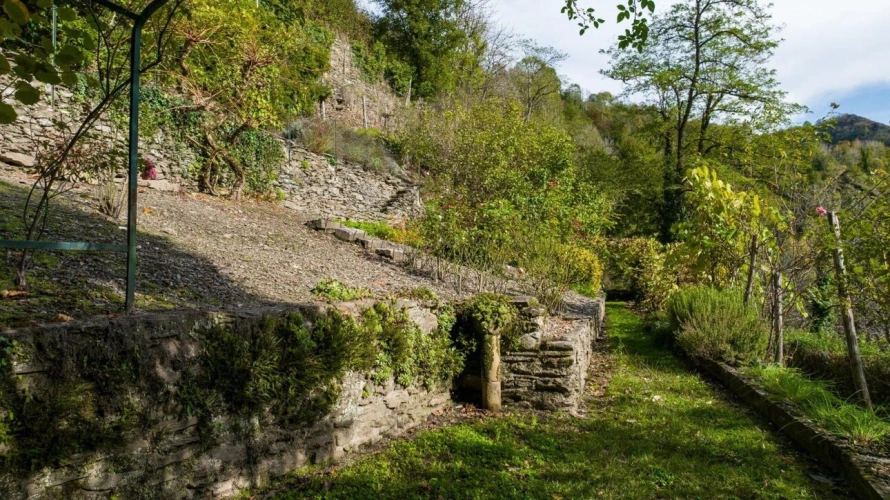 Photos 4 - Rurale - Ancienne maison de meunier - Conques