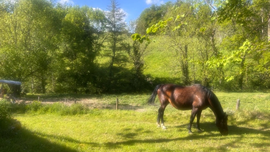 Photos 18 - Touristique - Ensemble en pierre d'exception aux portes de l'Aubrac : 4 maisons restaurées, piscine & patio