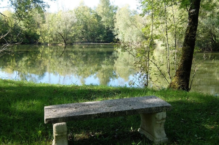 Photos 4 - Rurale - MAISON DANS LA CAMPAGNE AVEC ETANG PRiVE