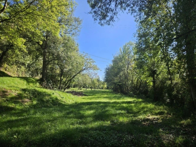 Photos 11 - Rurale - MAISON DANS LA CAMPAGNE AVEC ETANG PRiVE