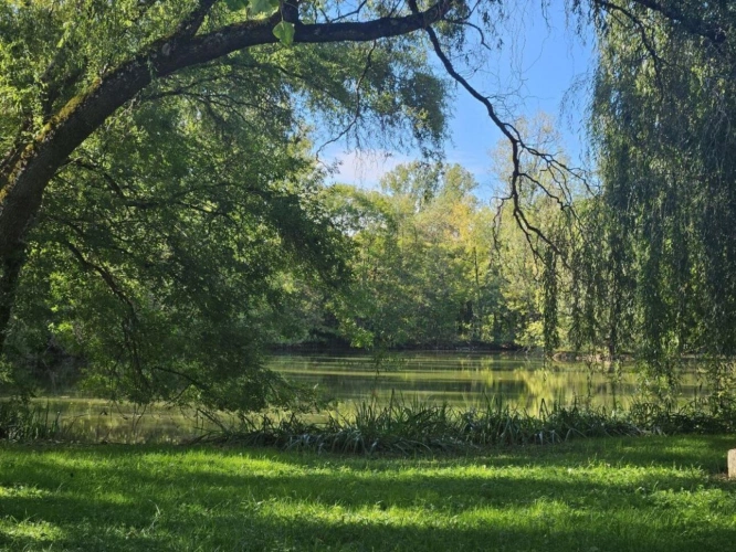 Photos 12 - Rurale - MAISON DANS LA CAMPAGNE AVEC ETANG PRiVE