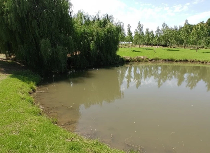 Photos 16 - Viticole - Ancienne propriété agricole avec dépendances au calme