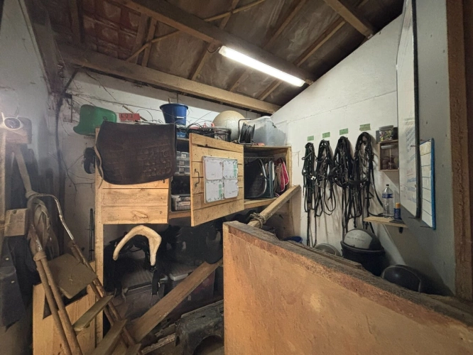 Photos 29 - Équestre - A VENDRE EN EXCLUSIVITÉ – Domaine d’exception en lisière de forêt à Ohain (59) 