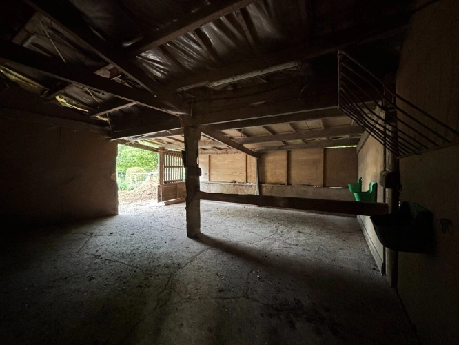 Photos 30 - Équestre - A VENDRE EN EXCLUSIVITÉ – Domaine d’exception en lisière de forêt à Ohain (59) 