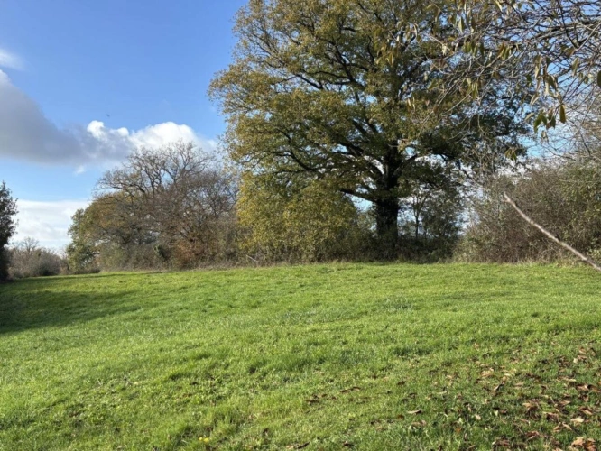 Photos 14 - Rurale - Maison de Campagne, Dépendances, Terrain et Potentiel de Gîte / Maison d'Hôtes
