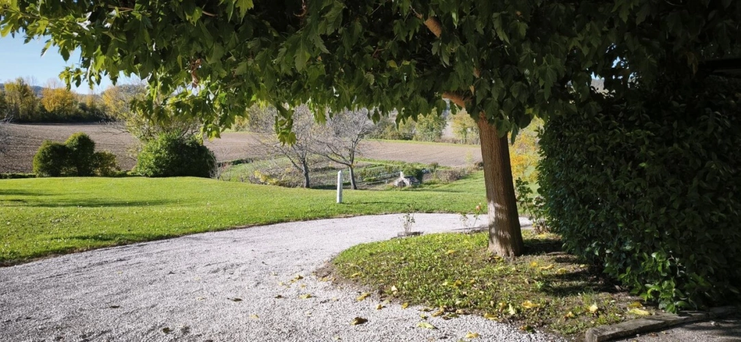 Photos 5 - Touristique - Charmante propriété en pierre avec gîte et dépendances - Entre Lauzerte et Cahors
