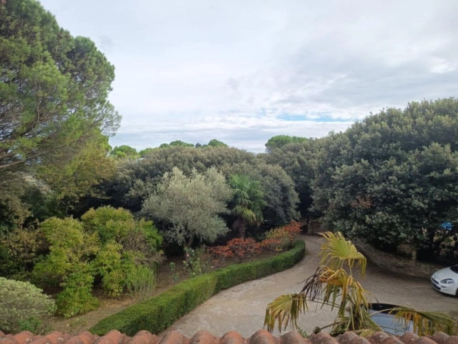 Photos 14 - Rurale - Propriété de 182m² avec piscine sur 5500 m² de terrain