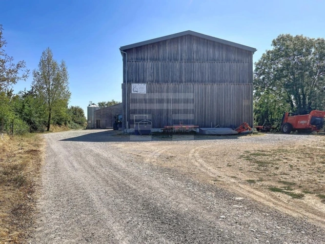 Photos 2 - Agricole - Ovins / Caprins