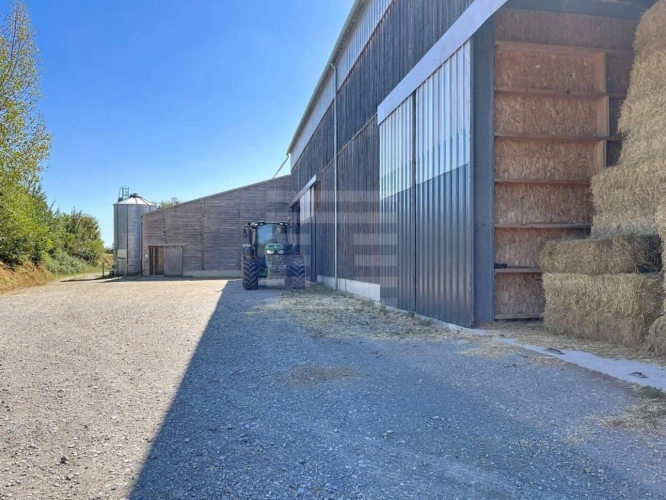 Photos 3 - Agricole - Ovins / Caprins