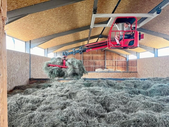 Photos 4 - Agricole - Ovins / Caprins