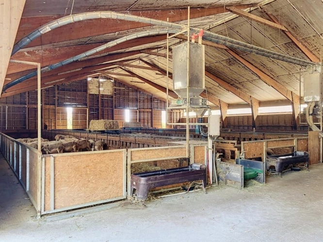 Photos 5 - Agricole - Ovins / Caprins