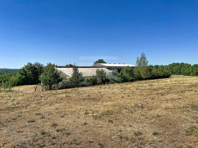Photos 11 - Agricole - Ovins / Caprins