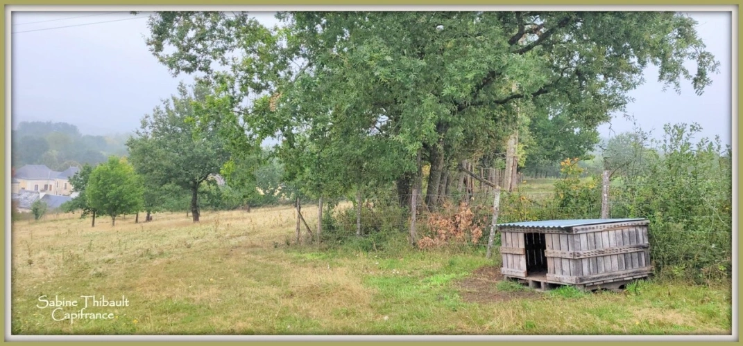 Photos 2 - Agricole - Dpt Sarthe (72), à vendre SAINT GERMAIN D'ARCE terrain agricole 5630 m2