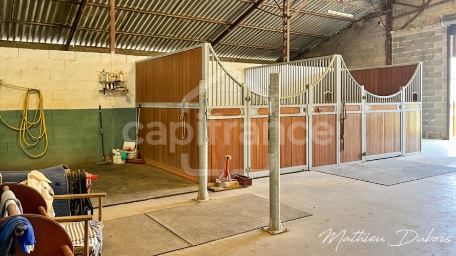 Photos 31 - Équestre - Un domaine de caractère proche d’Eymet avec installations équestres, gîtes et studio yoga/bien-être