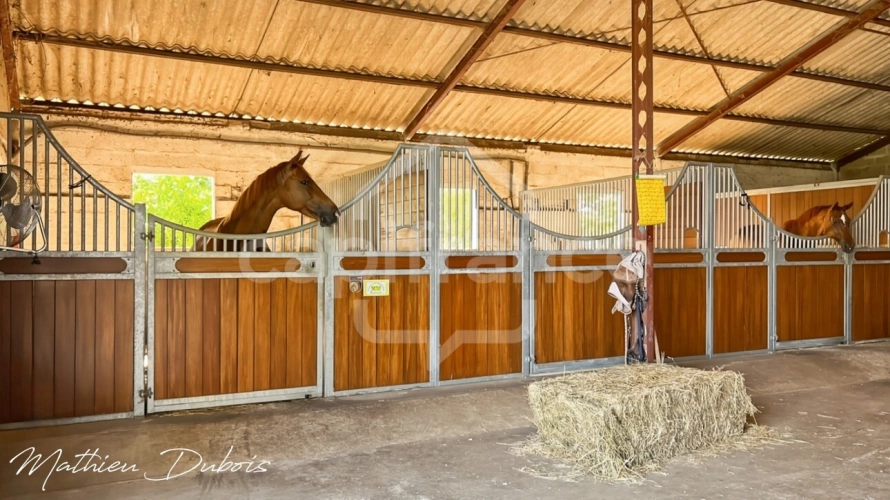 Photos 30 - Équestre - Un domaine de caractère proche d’Eymet avec installations équestres, gîtes et studio yoga/bien-être
