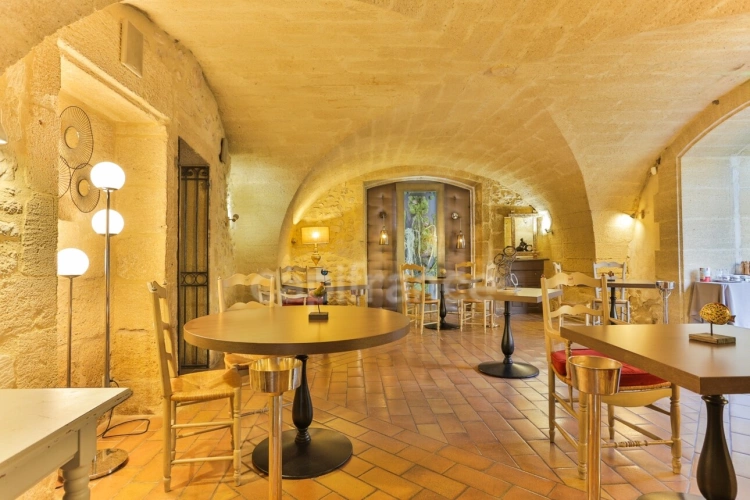 Photos 9 - Prestige - Exceptionnelle demeure de caractère du XVIIᵉ siècle entre Uzès et le Pont du Gard