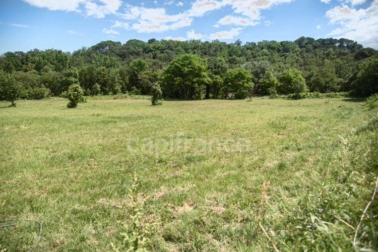 Photos 4 - Équestre - Entre Uzès et La Roque-sur-Cèze, Éden Provençal : Mas du XVIIIe & Son Domaine Privé sur 3,3 hectares