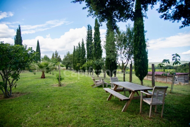 Photos 30 - Équestre - Entre Uzès et La Roque-sur-Cèze, Éden Provençal : Mas du XVIIIe & Son Domaine Privé sur 3,3 hectares