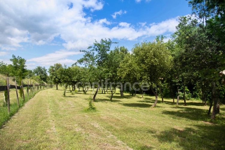 Photos 37 - Équestre - Entre Uzès et La Roque-sur-Cèze, Éden Provençal : Mas du XVIIIe & Son Domaine Privé sur 3,3 hectares