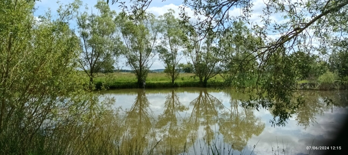 Photos 52 - Prestige - Propriété à vendre SAINT HILAIRE ( allier) comprenant une maison et un gite sur un parc de 23433 m²