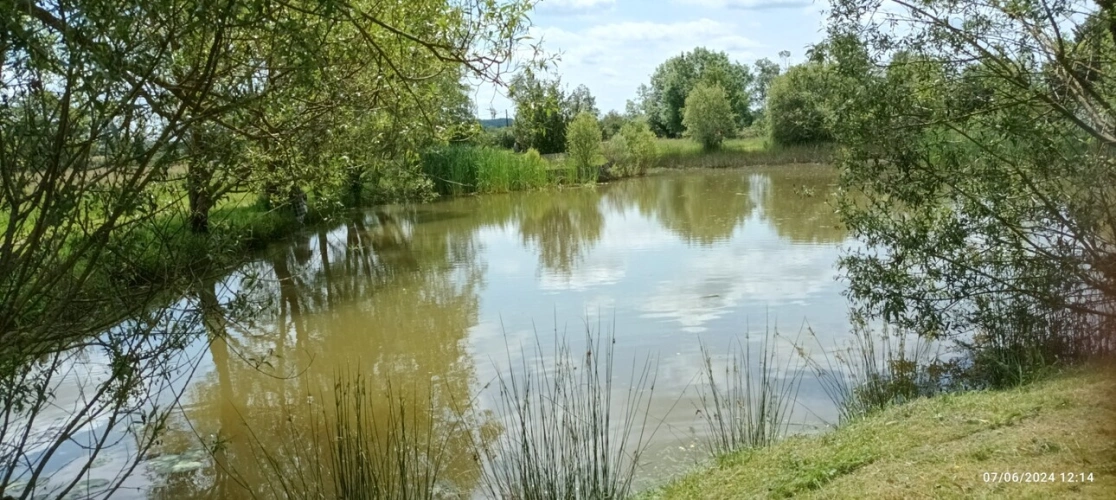 Photos 55 - Prestige - Propriété à vendre SAINT HILAIRE ( allier) comprenant une maison et un gite sur un parc de 23433 m²