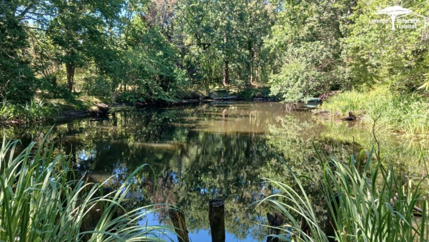 Photos 2 - Touristique - Propriété de caractère sur 4 hectares - 3 dépendances, étang