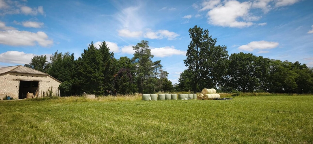 Photos 8 - Agricole - Propriété agricole au calme dans le Tarn-et-Garonne