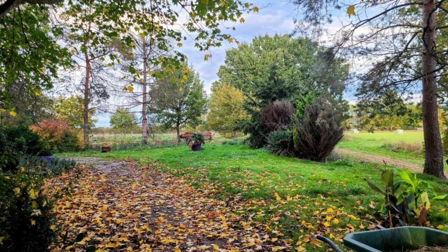 Photos 16 - Agricole - Propriété agricole au calme dans le Tarn-et-Garonne