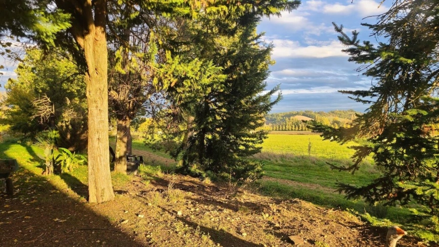 Photos 17 - Agricole - Propriété agricole au calme dans le Tarn-et-Garonne
