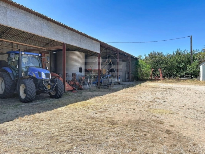 Photos 9 - Agricole - Ovins / Caprins