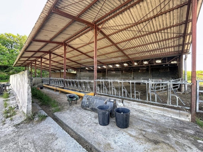 Photos 15 - Prestige - Propriété agricole
