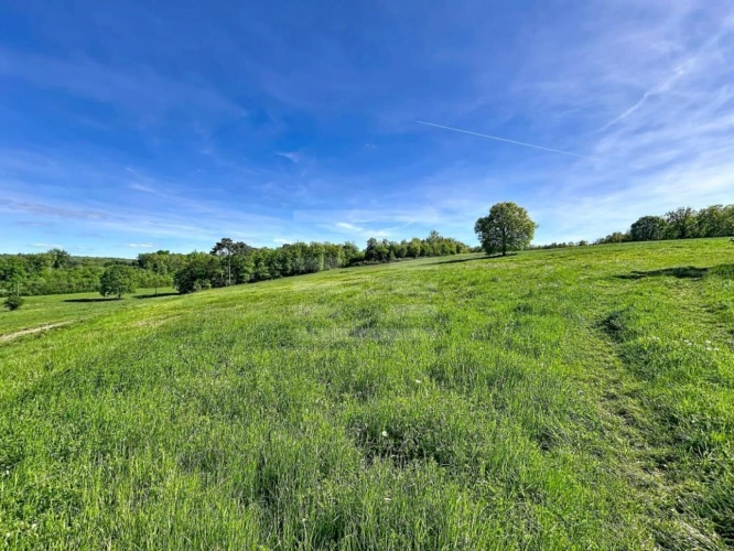Photos 20 - Prestige - Propriété agricole
