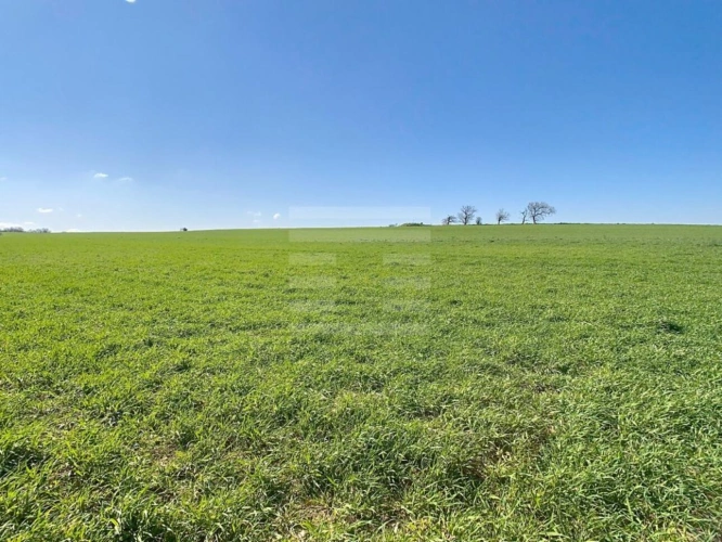 Photos 1 - Agricole - Terrain agricole