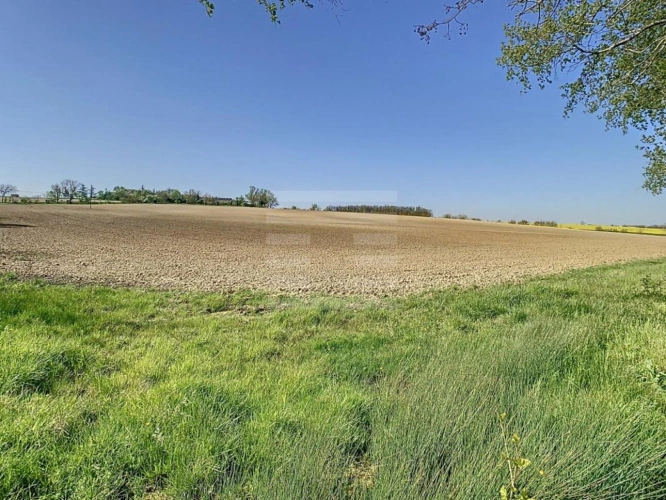 Photos 2 - Agricole - Terrain agricole