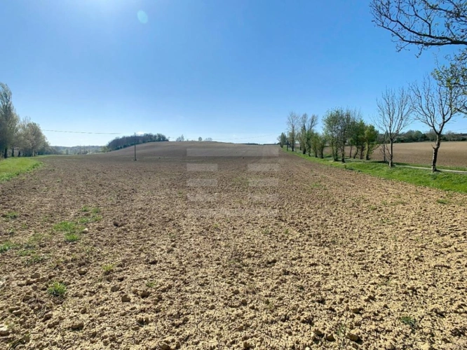 Photos 3 - Agricole - Terrain agricole