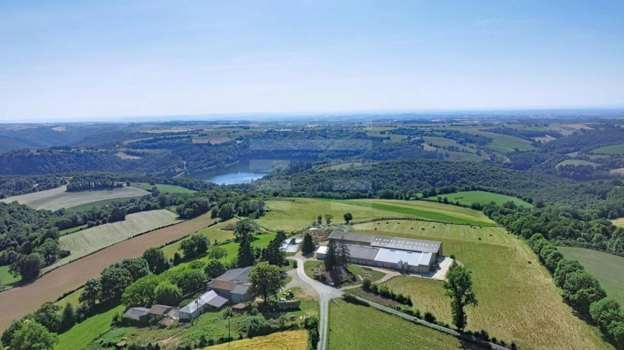 Photos 1 - Agricole - Ovins / Caprins