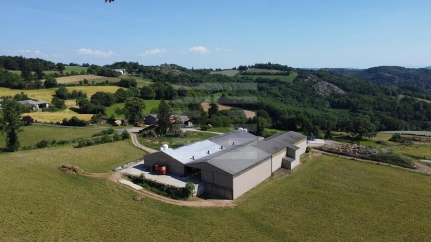 Photos 2 - Agricole - Ovins / Caprins