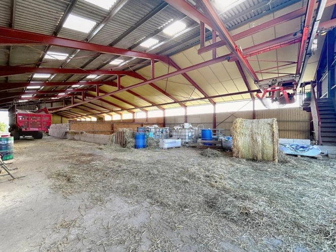 Photos 4 - Agricole - Ovins / Caprins
