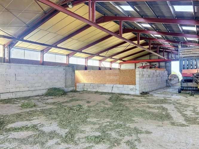 Photos 6 - Agricole - Ovins / Caprins