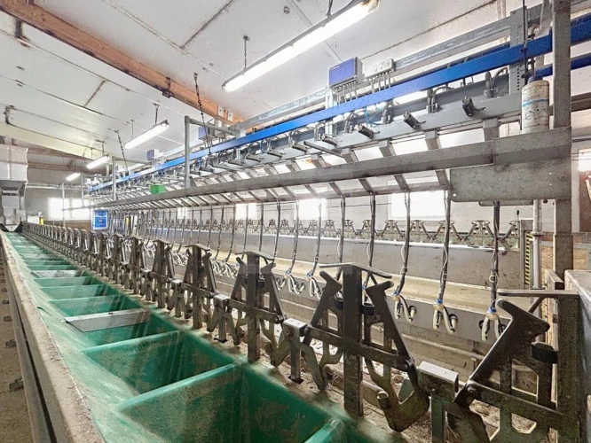 Photos 10 - Agricole - Ovins / Caprins