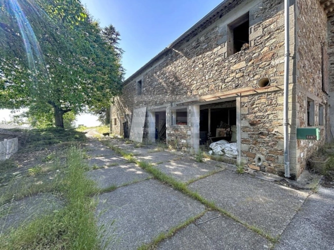 Photos 14 - Agricole - Ovins / Caprins