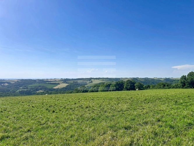Photos 18 - Agricole - Ovins / Caprins