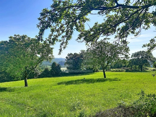 Photos 20 - Agricole - Ovins / Caprins