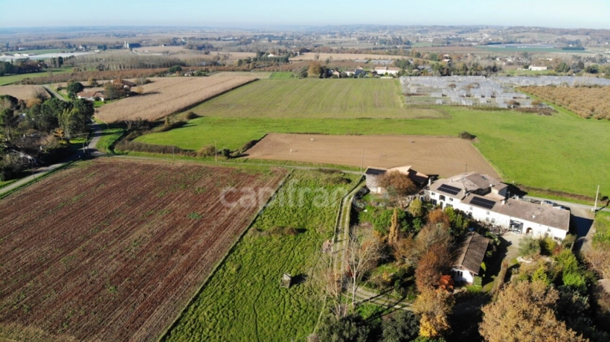 Photos 5 - Prestige - Propriété - une maison d'habitation - 5 chambres d'hôtes - 2 appartements en location sur plus de 1 hectare à SAINTE BAZEILLE (47)
