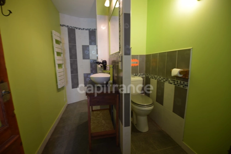 Photos 22 - Prestige - Propriété - une maison d'habitation - 5 chambres d'hôtes - 2 appartements en location sur plus de 1 hectare à SAINTE BAZEILLE (47)
