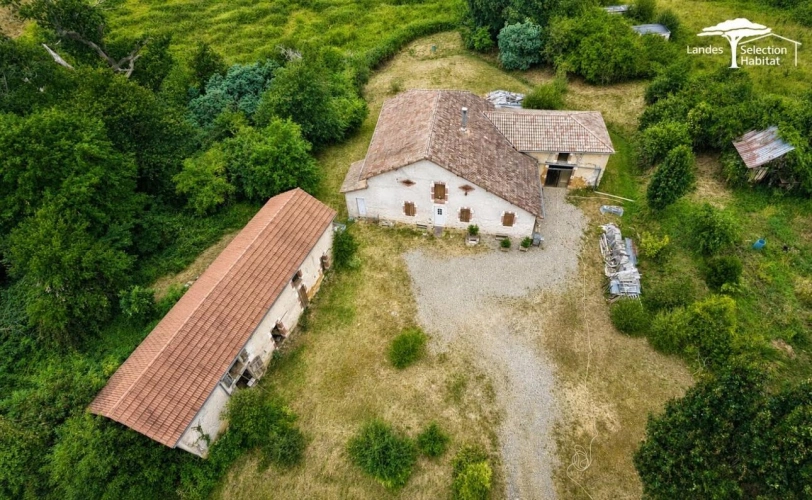 Photos 1 - Équestre - Une maison landaise chaleureuse sur plus de 2 hectares
