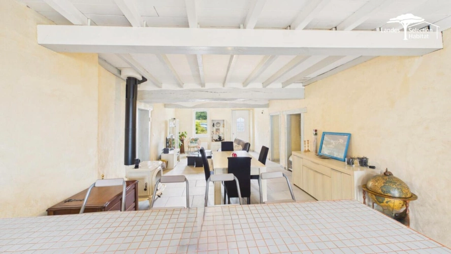 Photos 9 - Équestre - Une maison landaise chaleureuse sur plus de 2 hectares